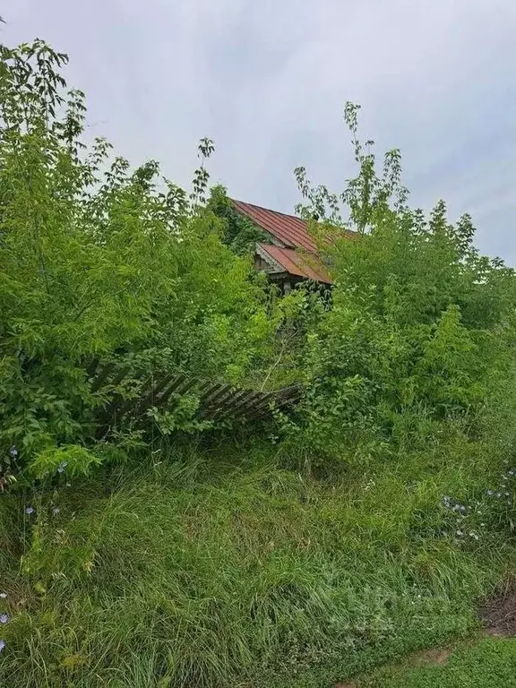 Дом в Самарская область, Шигонский район, Новодевичье с/пос, с. ... - Фото 1