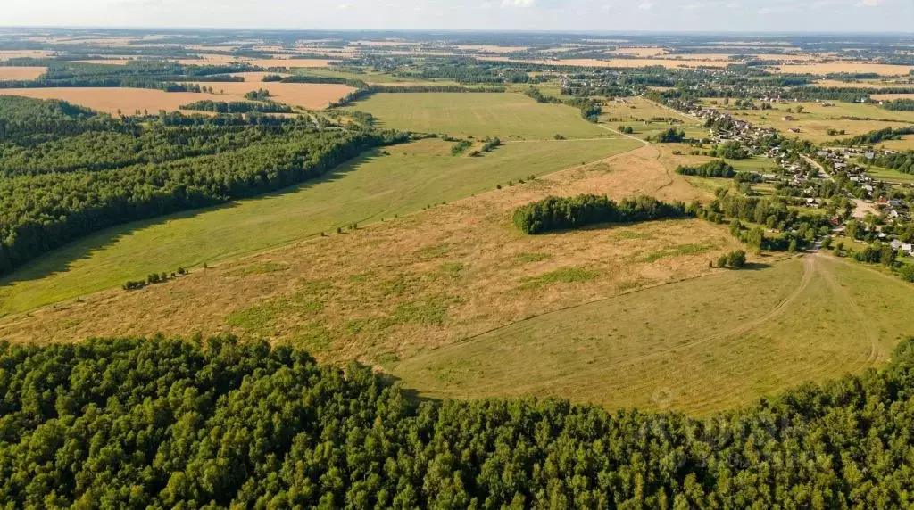 Участок в Тульская область, Ясногорский район, Ревякинское с/пос, с. ... - Фото 2