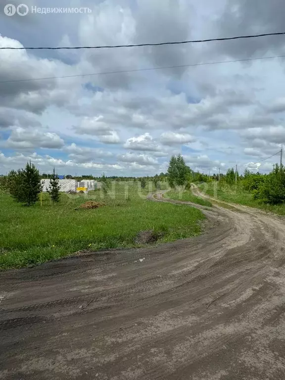 Участок в Первомайский район, посёлок Новый, Берёзовская улица, 8 (12 ... - Фото 1