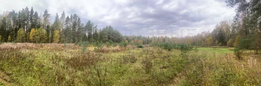 Участок в Новгородская область, Новгородский район, Савинское с/пос, ... - Фото 2