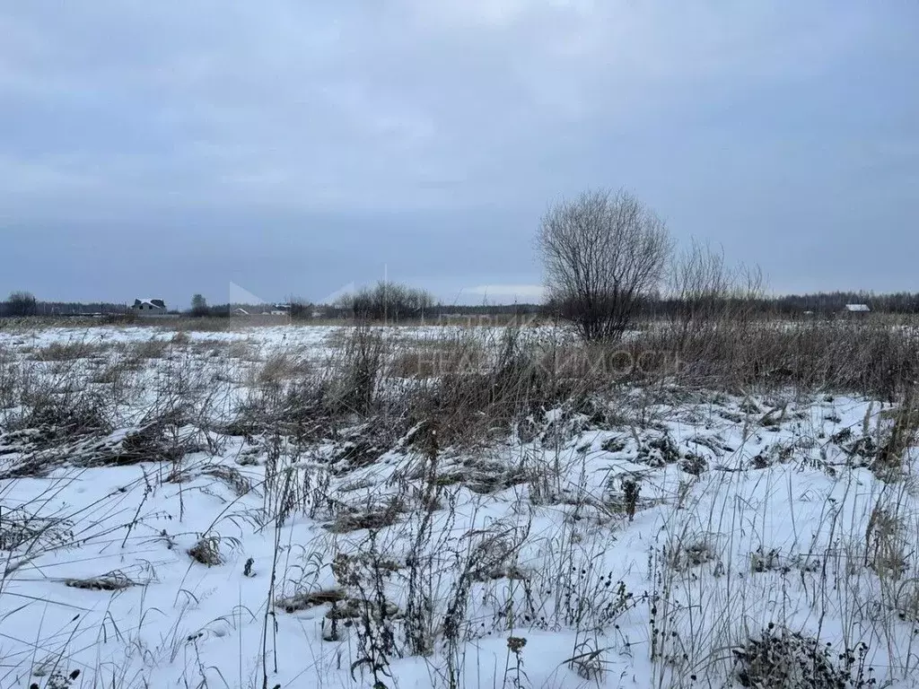 Участок в Тюменская область, Нижнетавдинский район, Строитель ТСН  ... - Фото 0