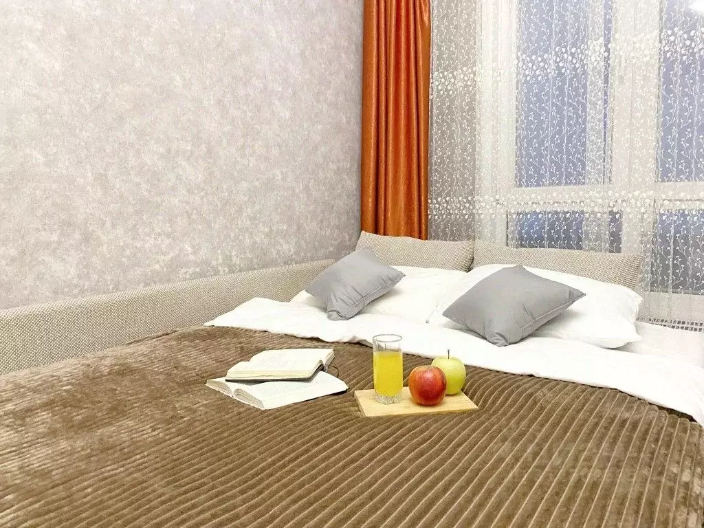 1-к кв. Новосибирская область, Новосибирск ул. Ясный Берег, 9 (40.0 м) - Фото 1