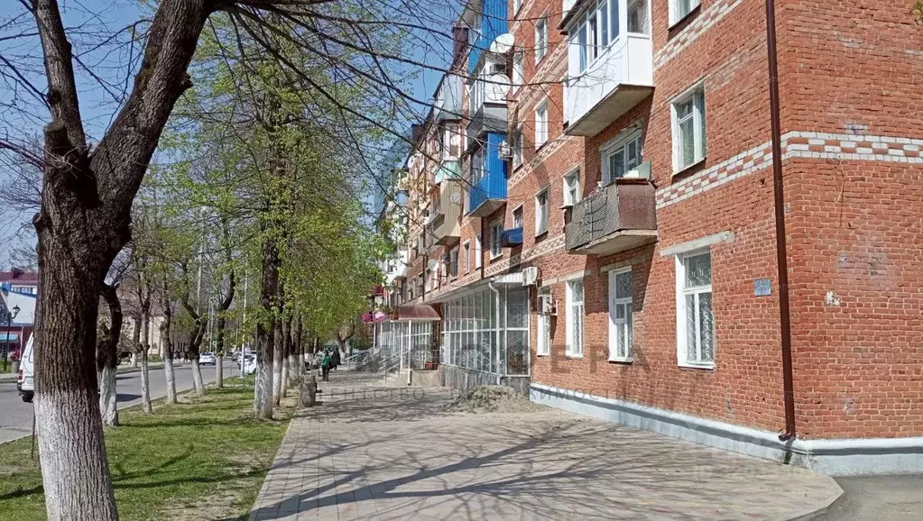 3-к кв. Краснодарский край, Апшеронск ул. Ленина (58.4 м) - Фото 0