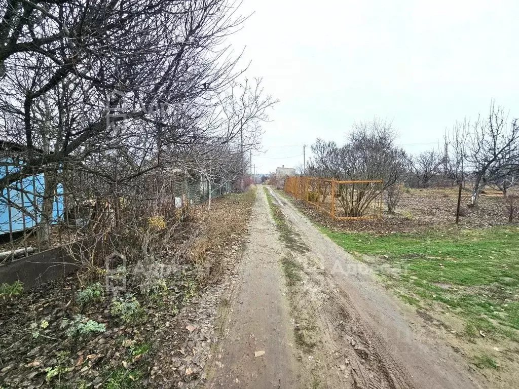 Участок в Волгоградская область, Городищенский район, Ерзовское ... - Фото 2