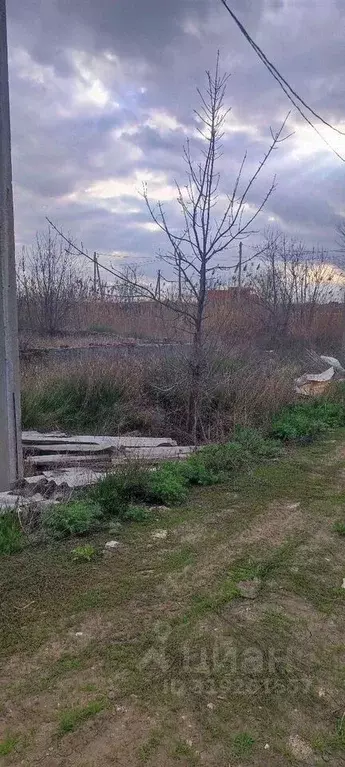 Участок в Ростовская область, Азовский район, Елизаветинское с/пос, ... - Фото 2