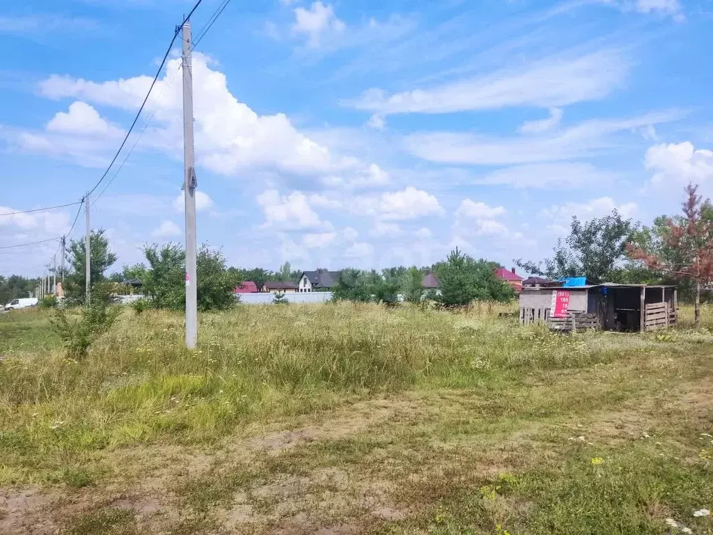 Участок в Воронежская область, Новоусманский район, Отрадненское ... - Фото 1