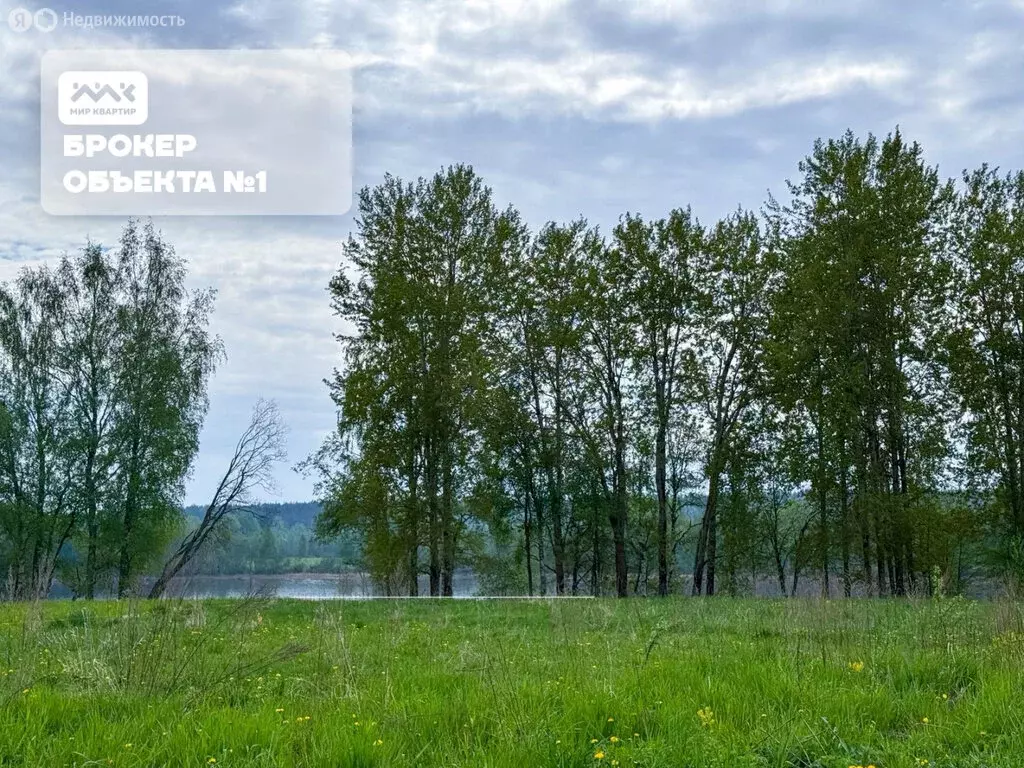 Участок в посёлок Ромашки, коттеджный посёлок Ромашково (24.46 м) - Фото 0
