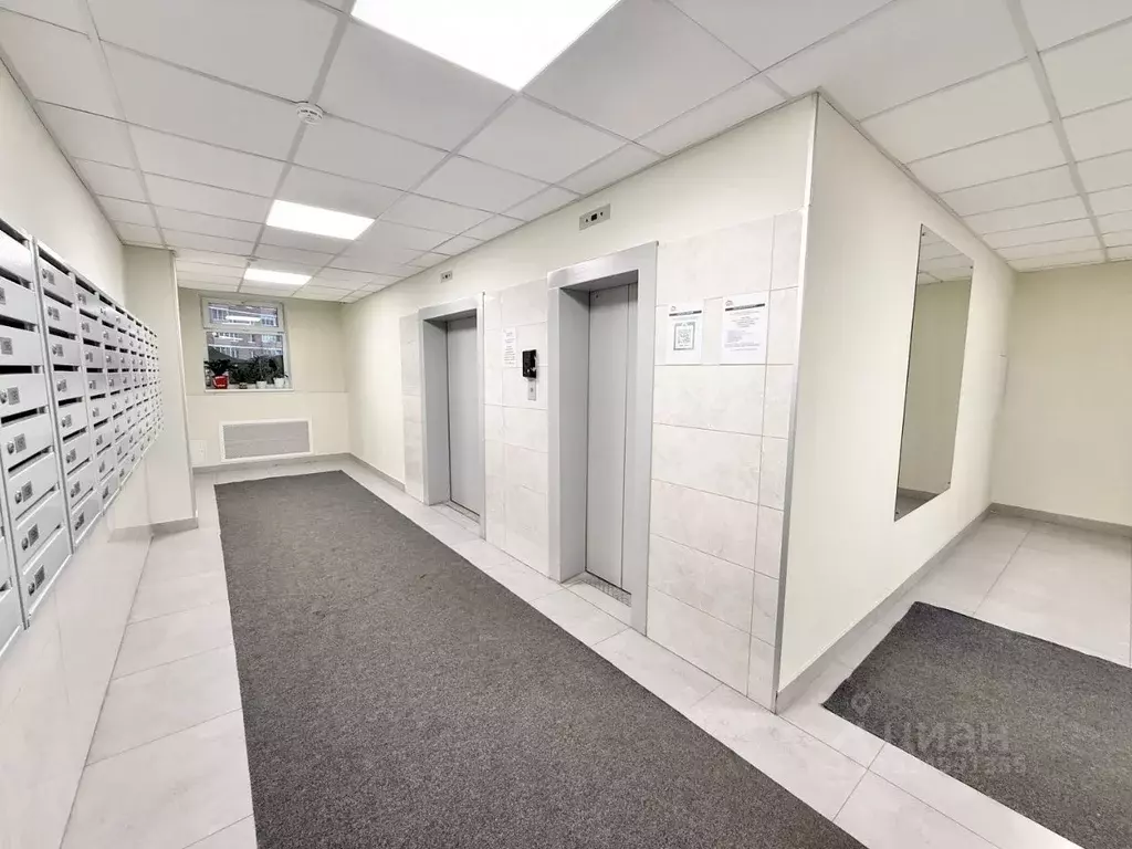 2-к кв. Московская область, Видное ул. Ольховая, 4 (63.0 м) - Фото 2