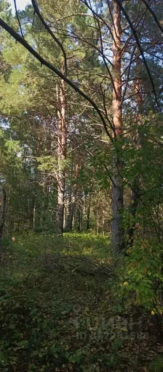 Участок в Московская область, Домодедово городской округ, пос. ... - Фото 0