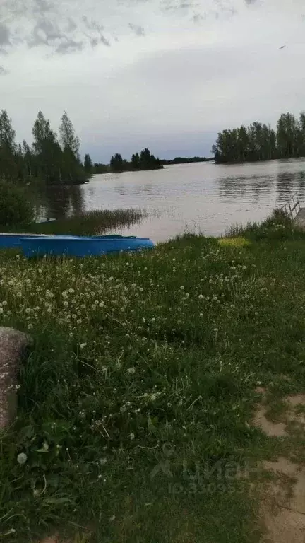 Участок в Новгородская область, Демянский муниципальный округ, д. ... - Фото 2