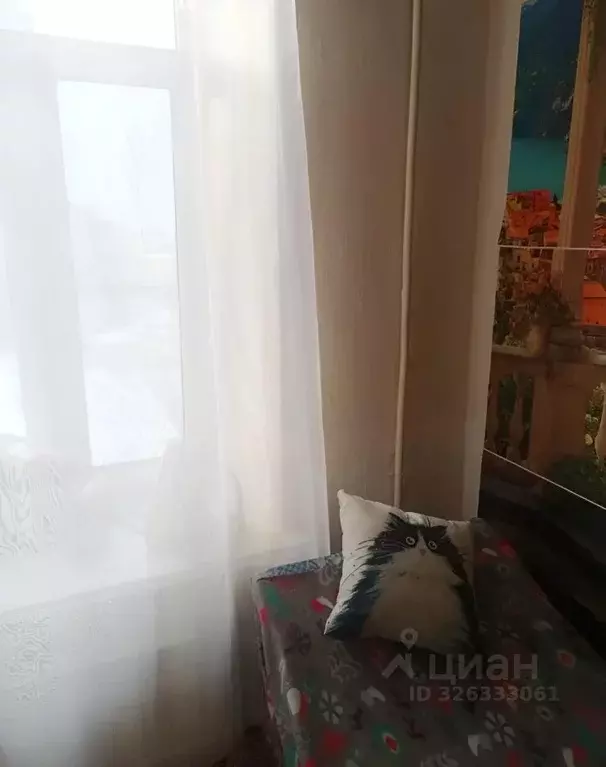 Комната Санкт-Петербург ул. Большая Зеленина, 28 (9.0 м) - Фото 2