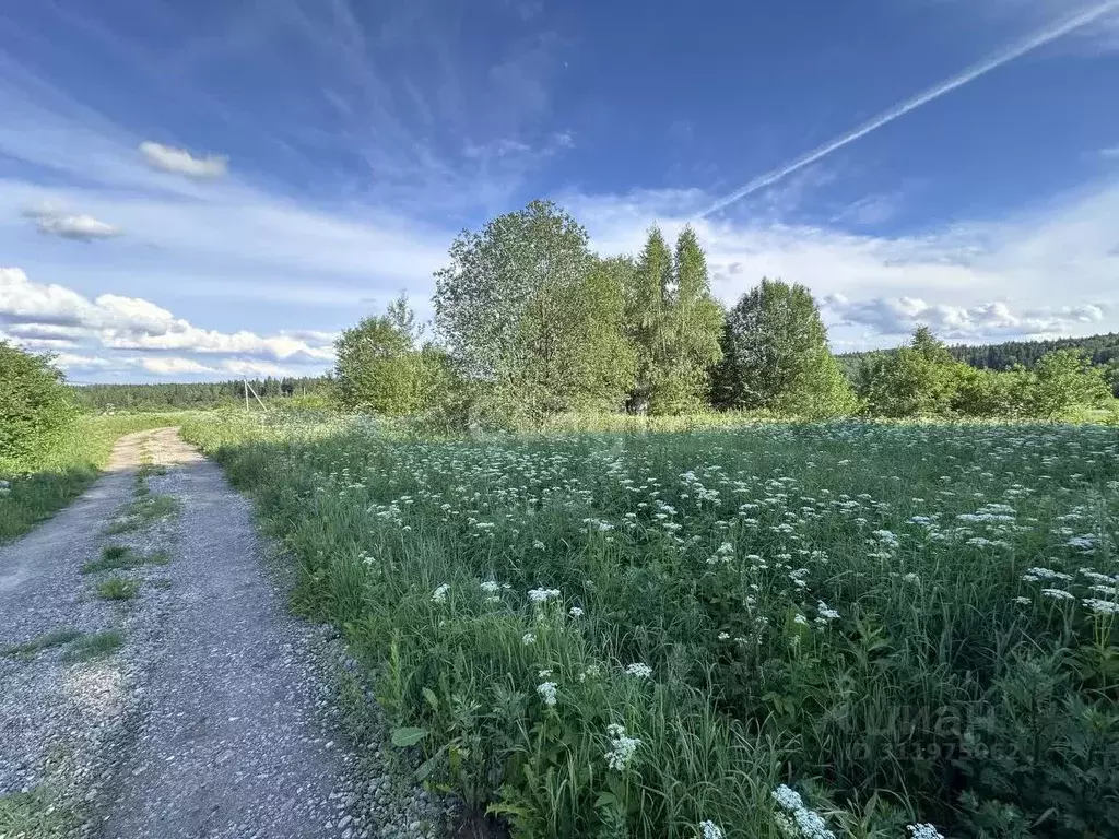 Участок в Московская область, Клин городской округ, д. Марфино 1 (16.5 ... - Фото 1