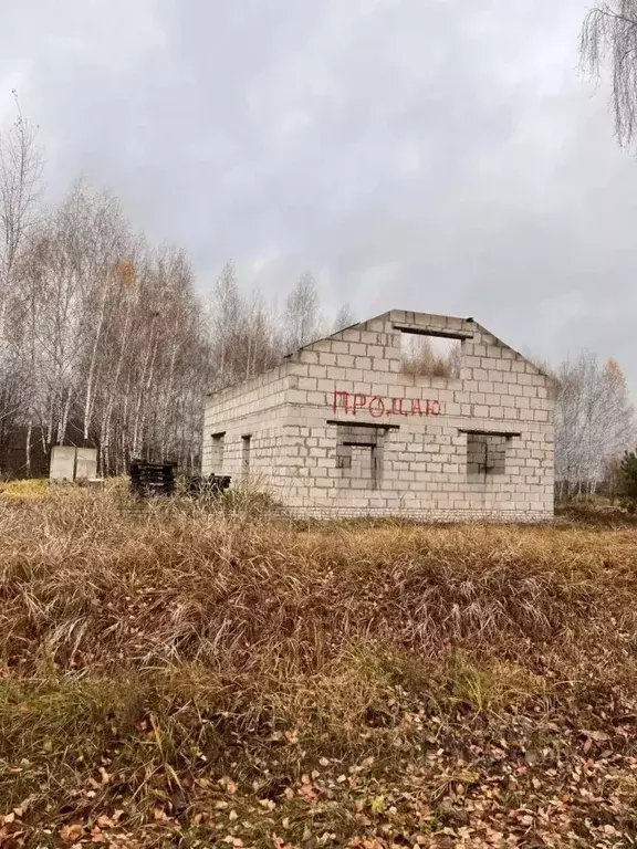 Дом в Липецкая область, Добровский муниципальный округ, с. Лебяжье ул. ... - Фото 1