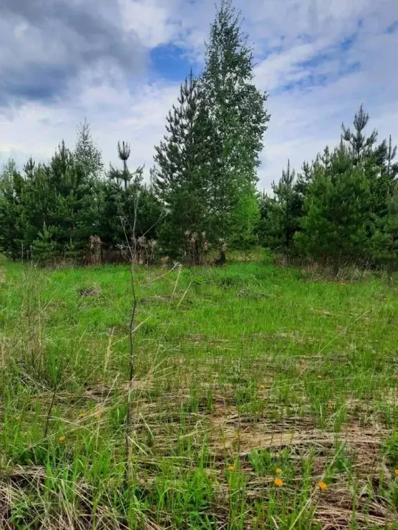 Участок в Удмуртия, Завьяловский район, д. Старые Кены ул. ... - Фото 1