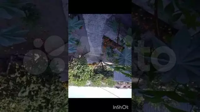 Дом 49 м на участке 5 сот. - Фото 1