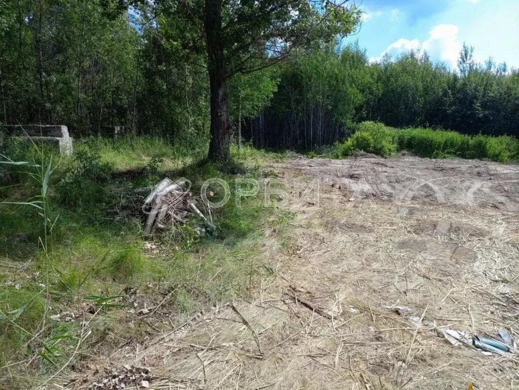 Участок в Тюменская область, Тюменский район, с. Муллаши ул. Мира ... - Фото 1