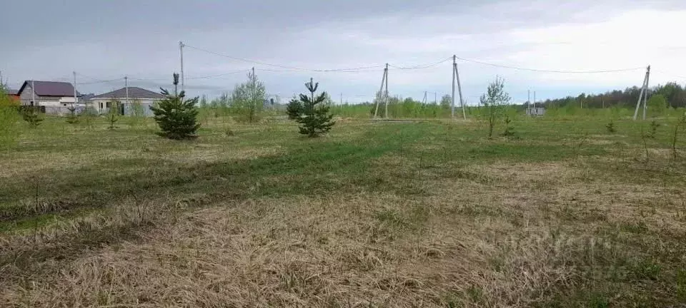 Участок в Московская область, Истра муниципальный округ, д. Бужарово ... - Фото 1
