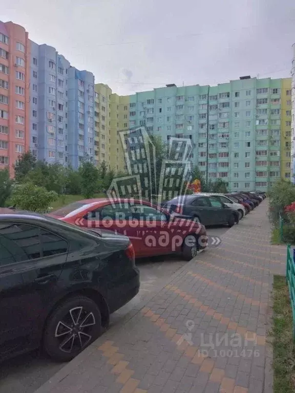 Купить Квартиру На Шишкова 142 В Воронеже