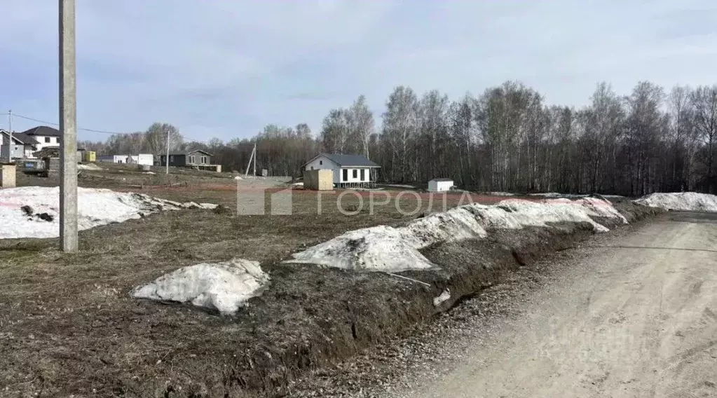 Участок в Новосибирская область, Новосибирский район, Раздольненский ... - Фото 1