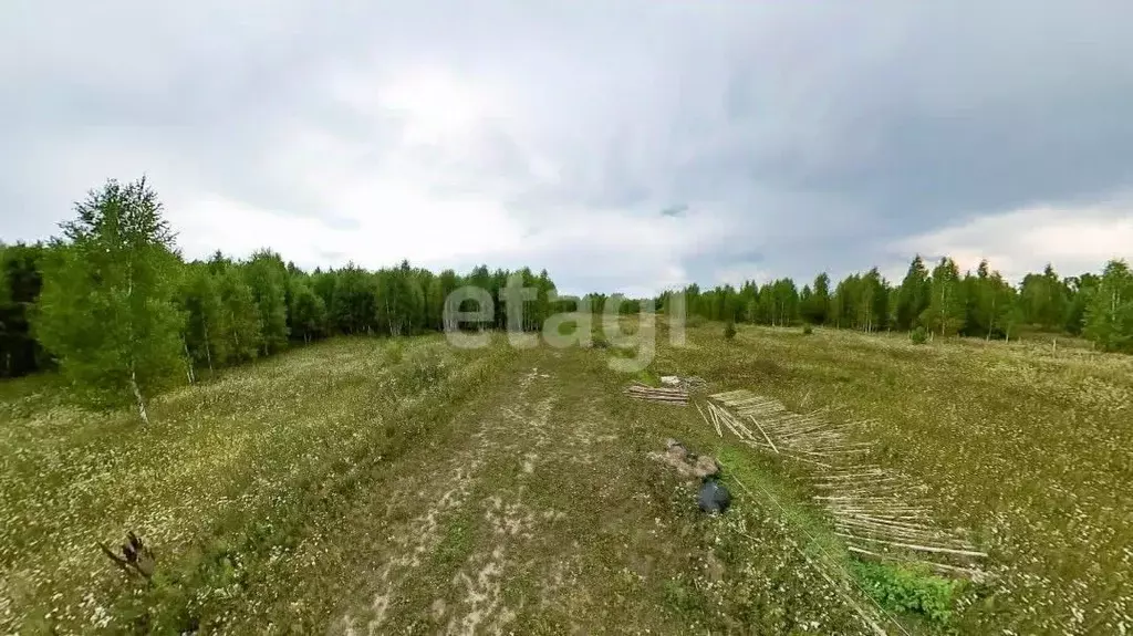 Участок в Тюменская область, Нижнетавдинский муниципальный округ, ... - Фото 1