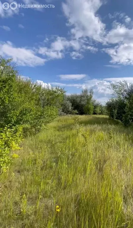 Участок в Натальинское муниципальное образование, СТ Берёзово (10 м) - Фото 1