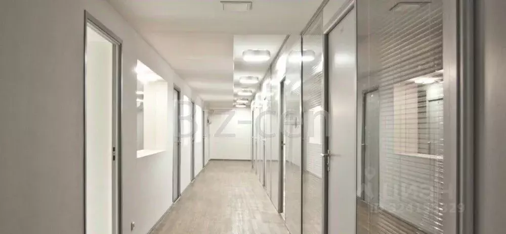 Офис в Санкт-Петербург ул. Чапаева, 3 (39 м) - Фото 1