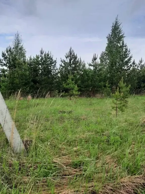 Участок в Удмуртия, Завьяловский район, д. Старые Кены ул. ... - Фото 2