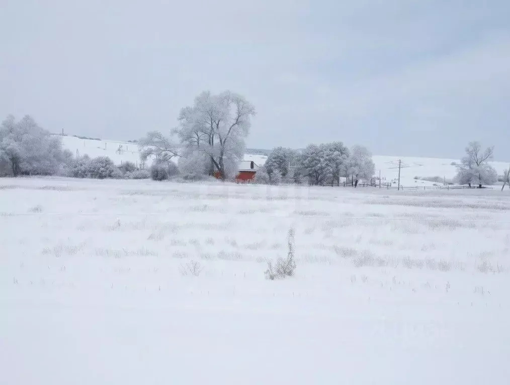 Участок в Тульская область, Новомосковск городской округ, д. Пушкари  ... - Фото 1