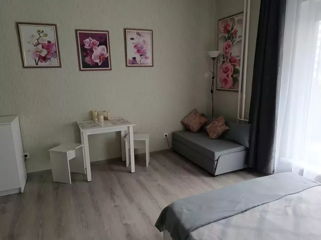 Студия Псковская область, Псковский район, Завеличенская волость, д. ... - Фото 2