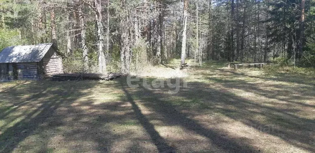 Участок в Вологодская область, Бабаево ул. Ухтомского (9.0 сот.) - Фото 1