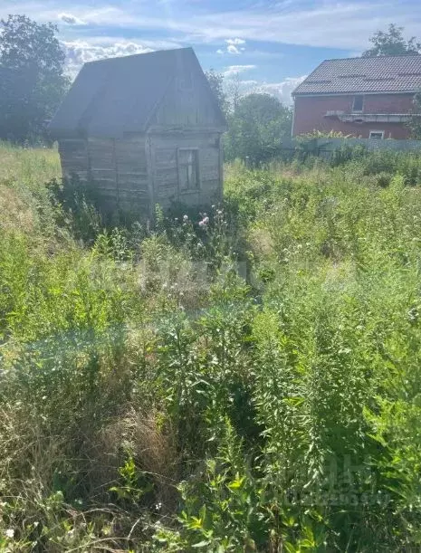 Участок в Ростовская область, Новочеркасск Малинка СТ,  (6.0 сот.) - Фото 1