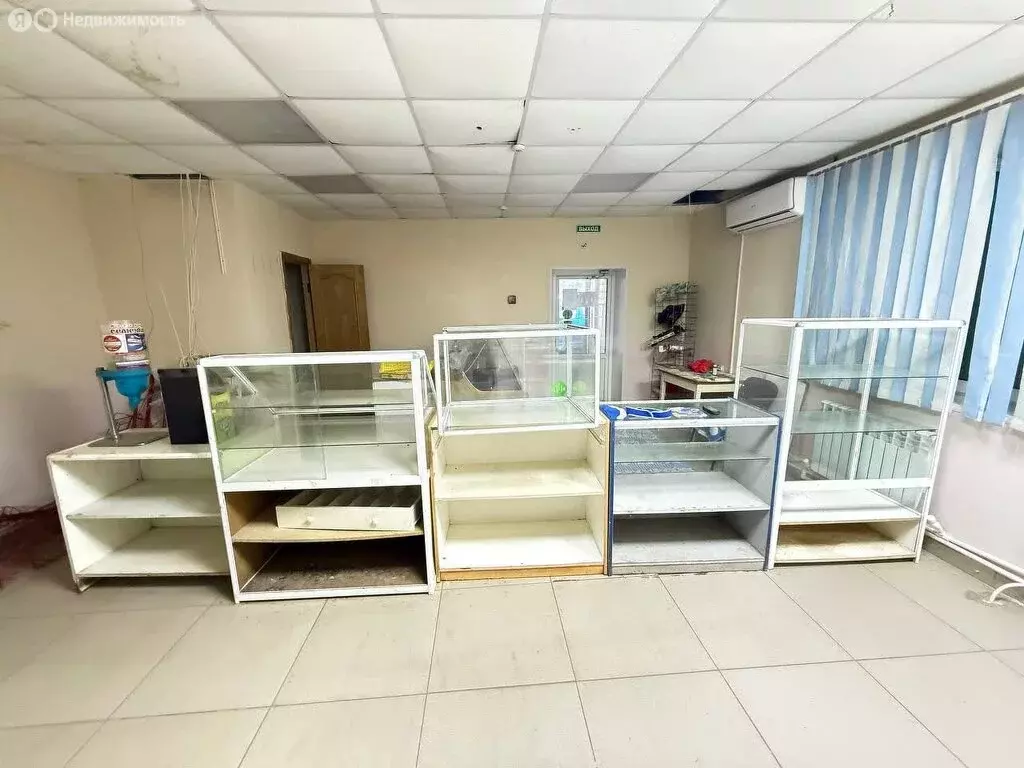 Торговая площадь (48 м) - Фото 1