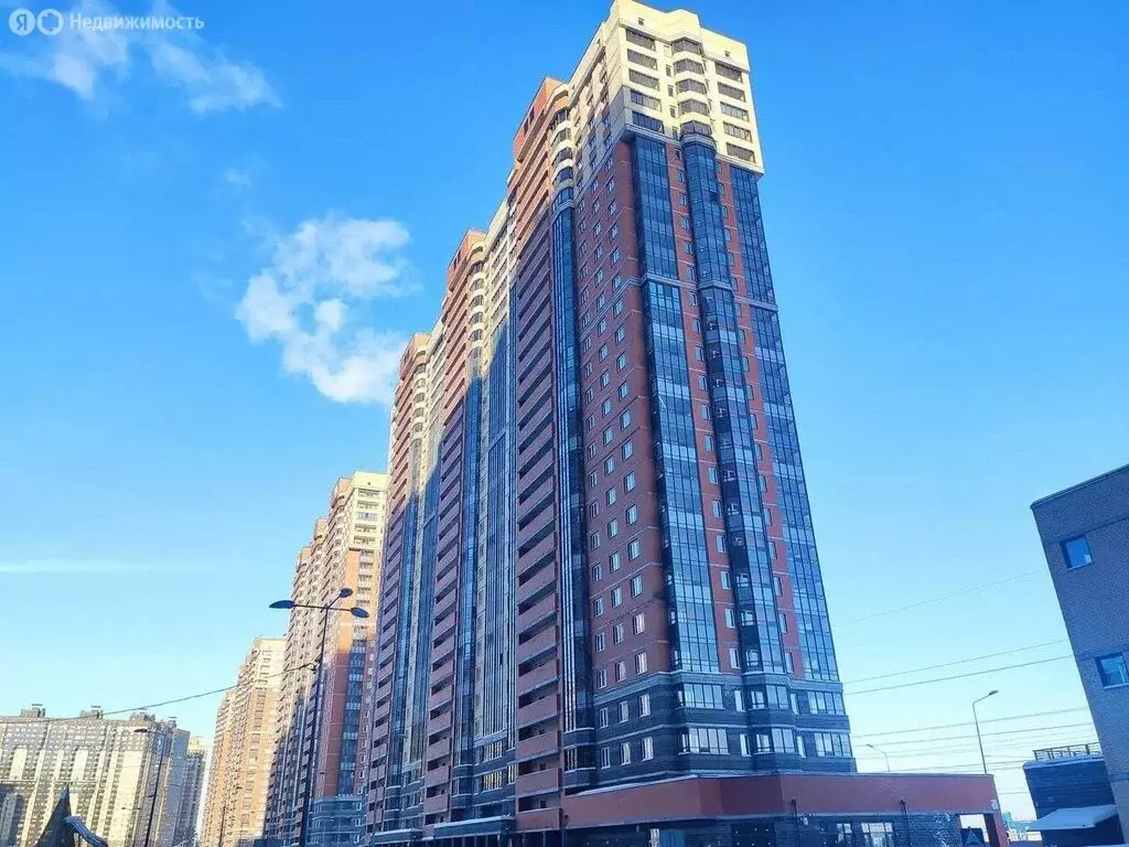 Квартира-студия: посёлок Парголово, Толубеевский проезд, 18к1 (24 м) - Фото 1