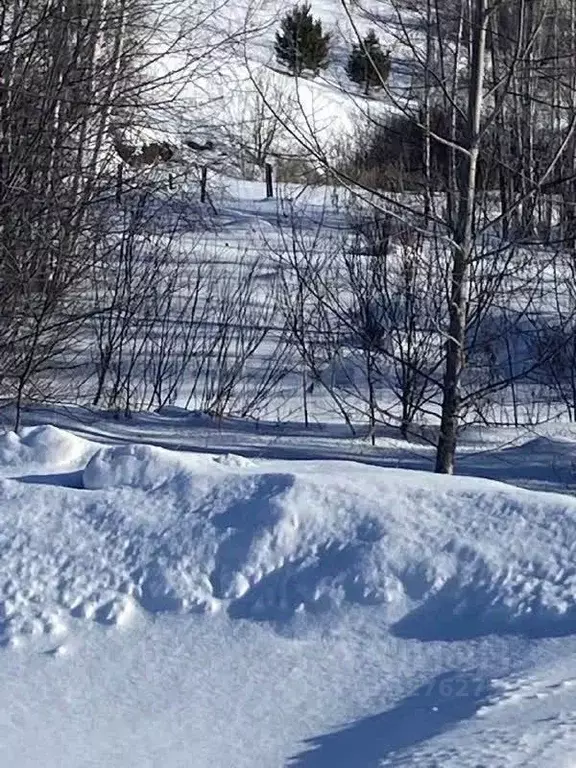 Участок в Алтай, Майминский район, Чуйское СТ  (11.0 сот.) - Фото 1