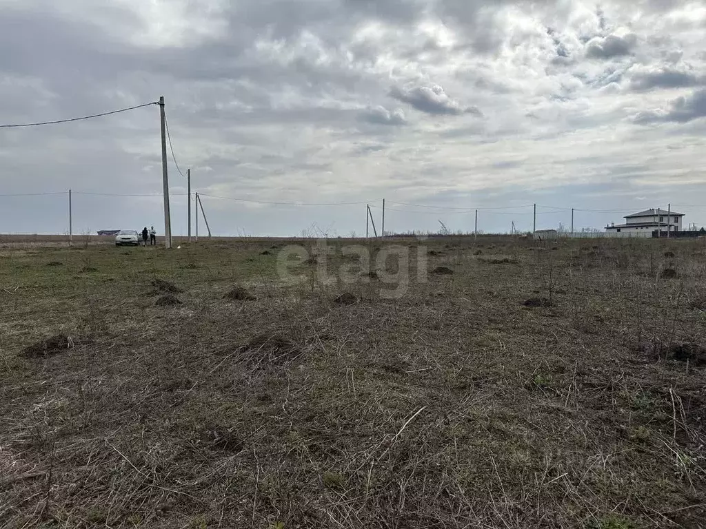 Участок в Мордовия, Лямбирский район, Берсеневское с/пос, Альтерра кп  ... - Фото 2