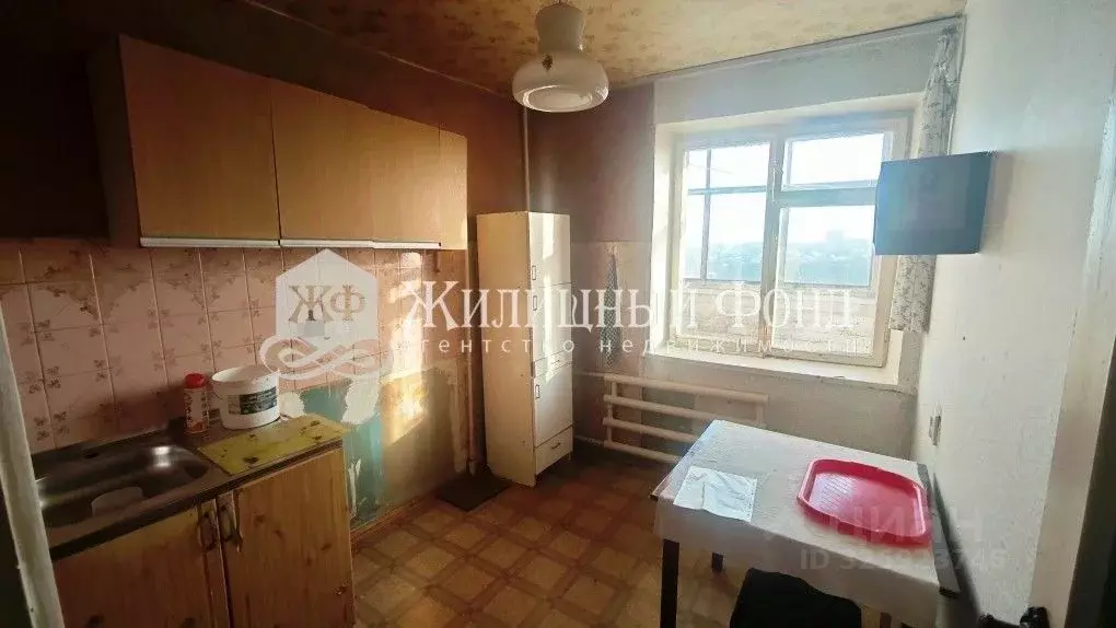 2-к кв. Курская область, Курск Запольная ул., 41 (47.5 м) - Фото 2