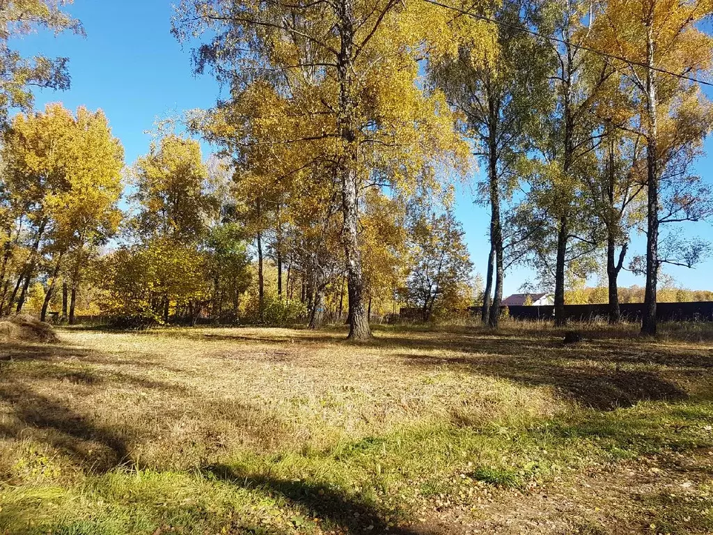 Участок в Тульская область, Заокский район, Земляничное СНТ  (12.0 ... - Фото 1