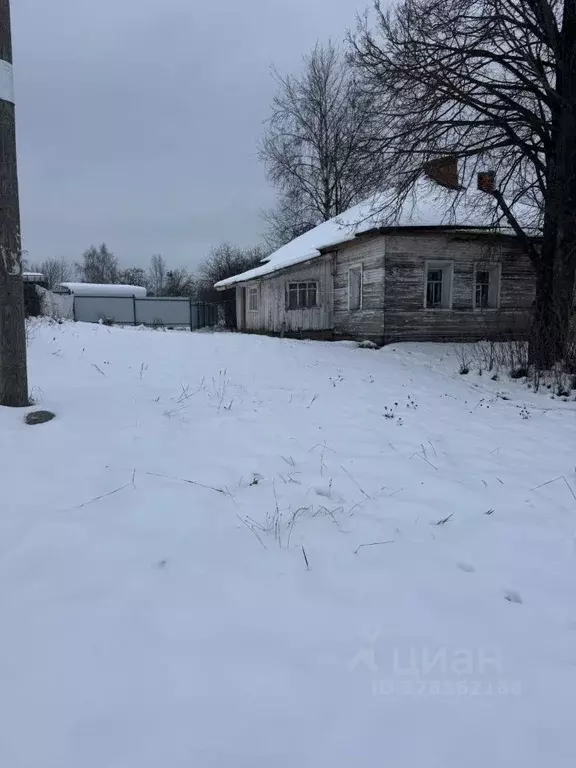 Студия Вологодская область, д. Березник  (20.1 м) - Фото 2