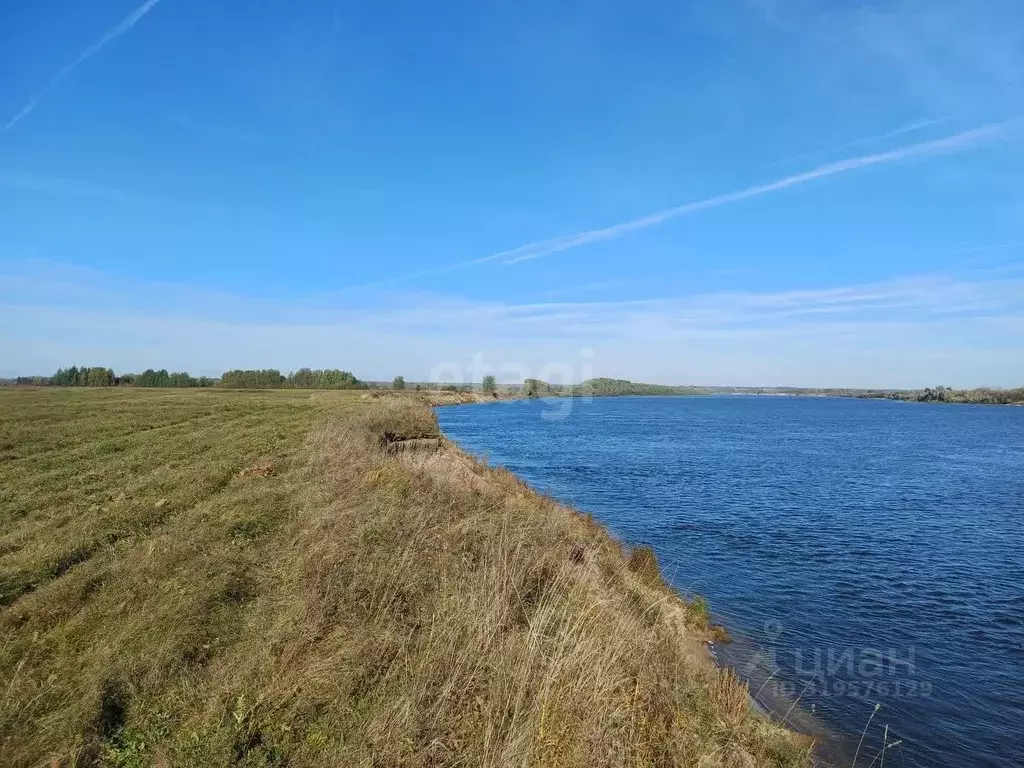 Участок в Нижегородская область, Выкса городской округ, Шиморское рп  ... - Фото 0