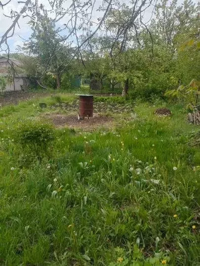 Дом в Старый Оскол, СНТ Осколец (41.4 м) - Фото 0