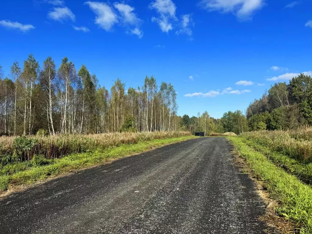Участок в Московская область, Дмитровский муниципальный округ, Сбоево ... - Фото 1