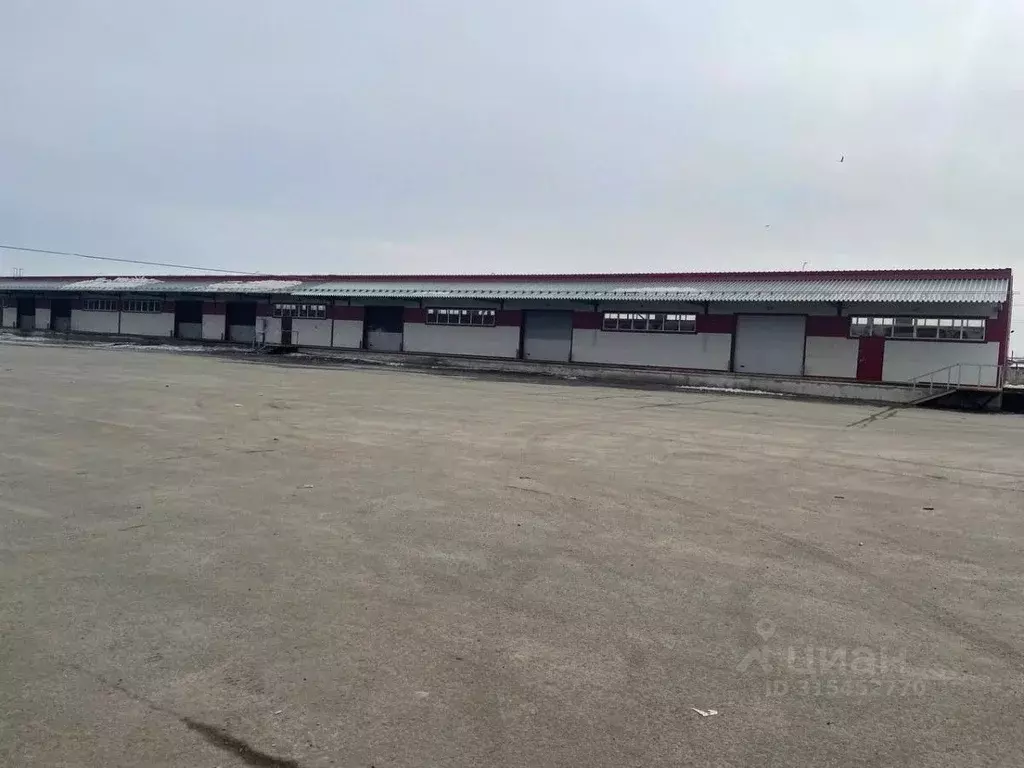 Помещение свободного назначения в Удмуртия, Ижевск ул. Пойма, 19Б ... - Фото 1