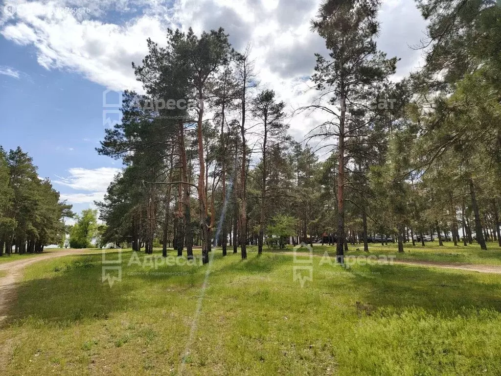 Участок в Волгоград, улица Джамбула Джабаева (6.11 м) - Фото 0