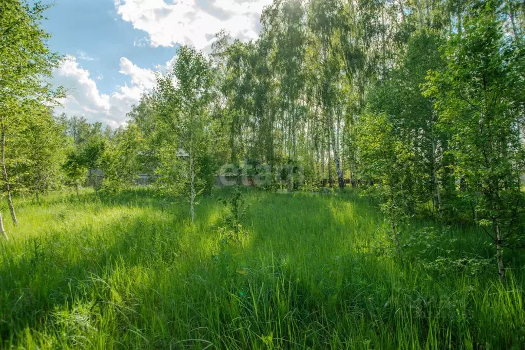 Участок в Ульяновская область, Ульяновский район, Ишеевка рп  (8.6 ... - Фото 1