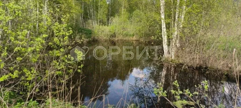Участок в Тюменская область, Тобольск Фортуна садоводческое ... - Фото 1