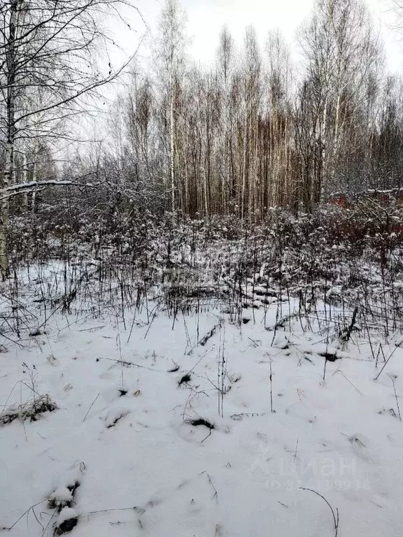 Участок в Владимирская область, Камешковский район, Второвское ... - Фото 1