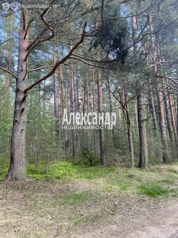 Участок в Приозерск, Садовая улица (12 м) - Фото 0