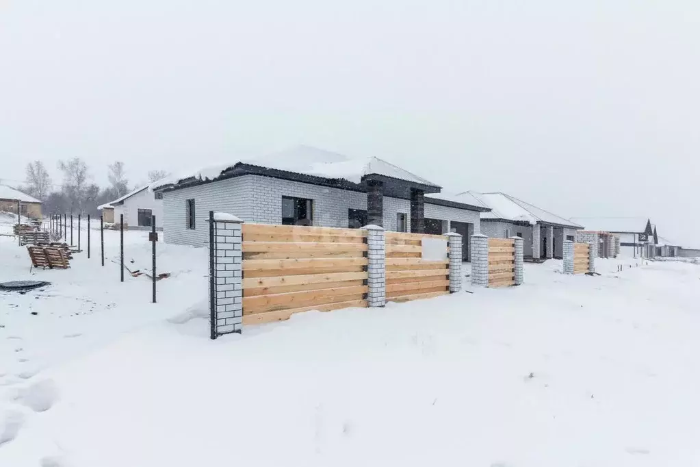 Дом в Алтайский край, Барнаул городской округ, пос. Черницк ул. ... - Фото 1