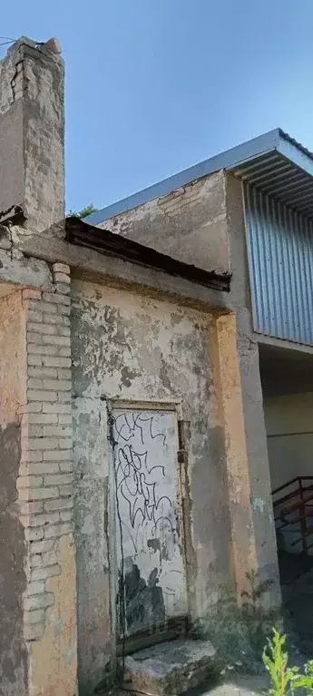 Помещение свободного назначения в Алтайский край, Барнаул ул. Юрина, ... - Фото 2