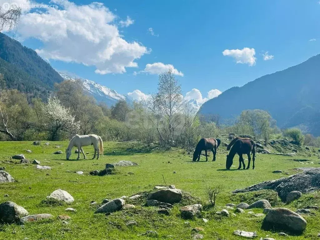 Участок в Теберда, территория Джамагатское ущелье 2 (40 м) - Фото 1